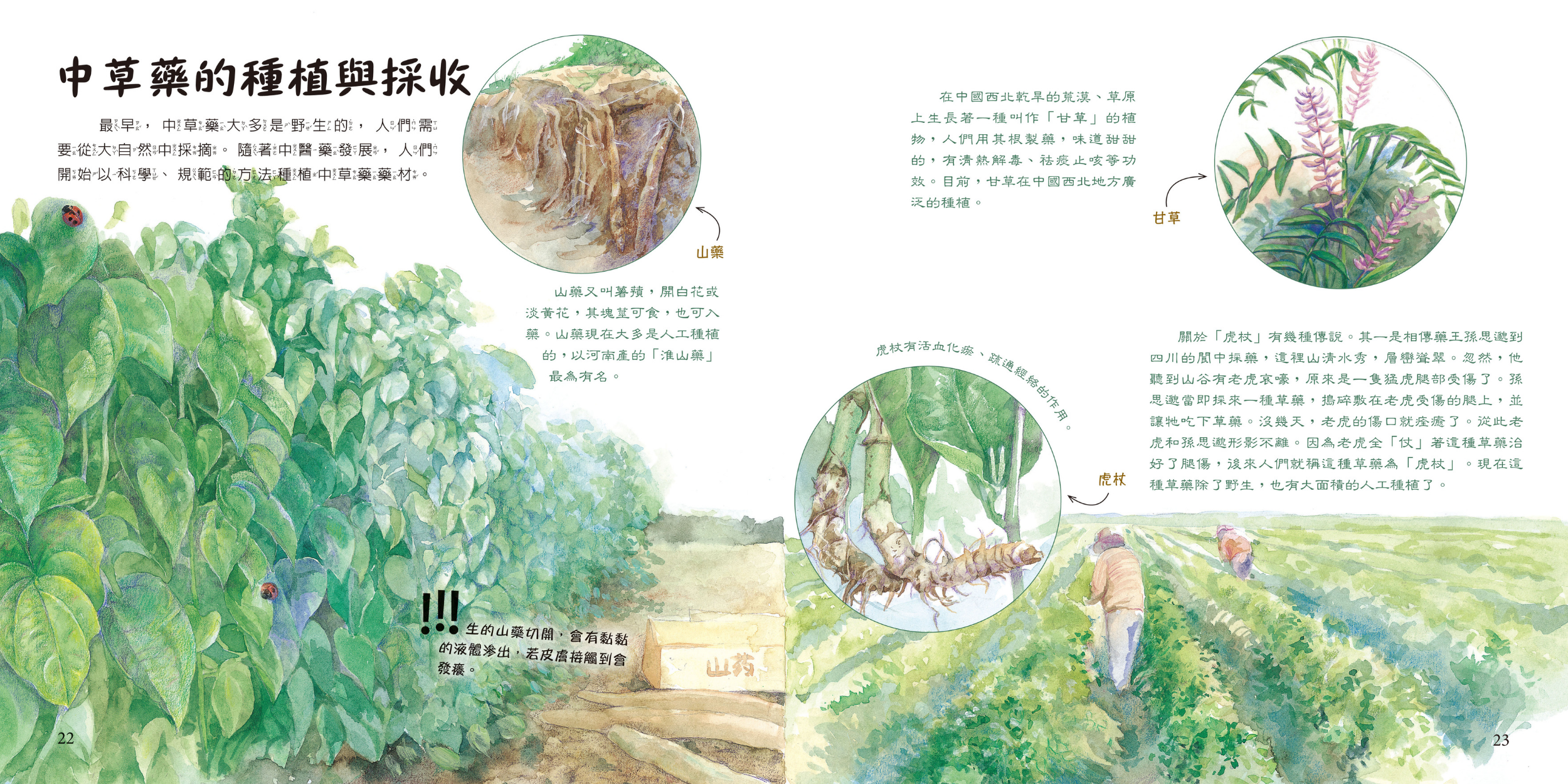 《噢! 中草藥》- 自然課哇系列