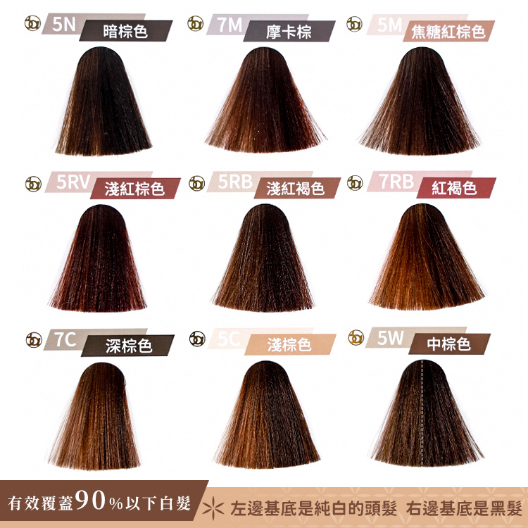 3A染髮劑 白髮染髮劑 【AM001】