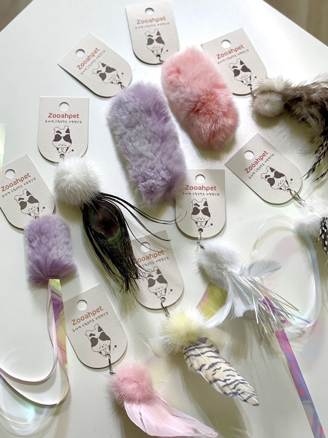 韓國逗貓頭^ↀᴥↀ^