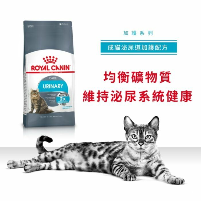 Royal Canin - 貓乾糧 - 成貓泌尿道加護配方(10公斤)