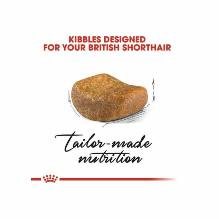 Royal Canin - 貓乾糧 - 英國短毛成貓專屬配方 (2KG/4KG)