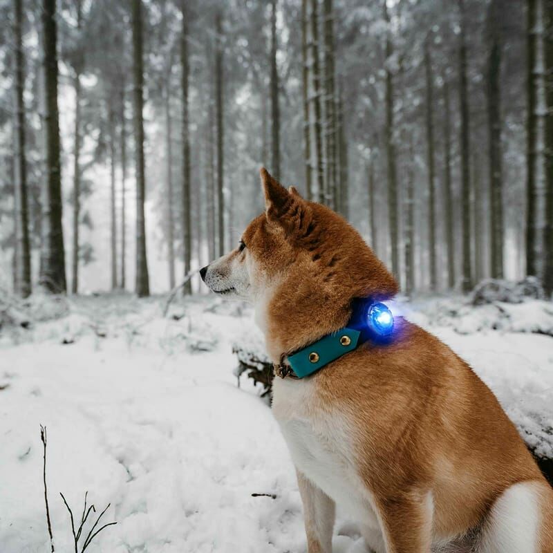 Orbiloc - 守護者外出燈