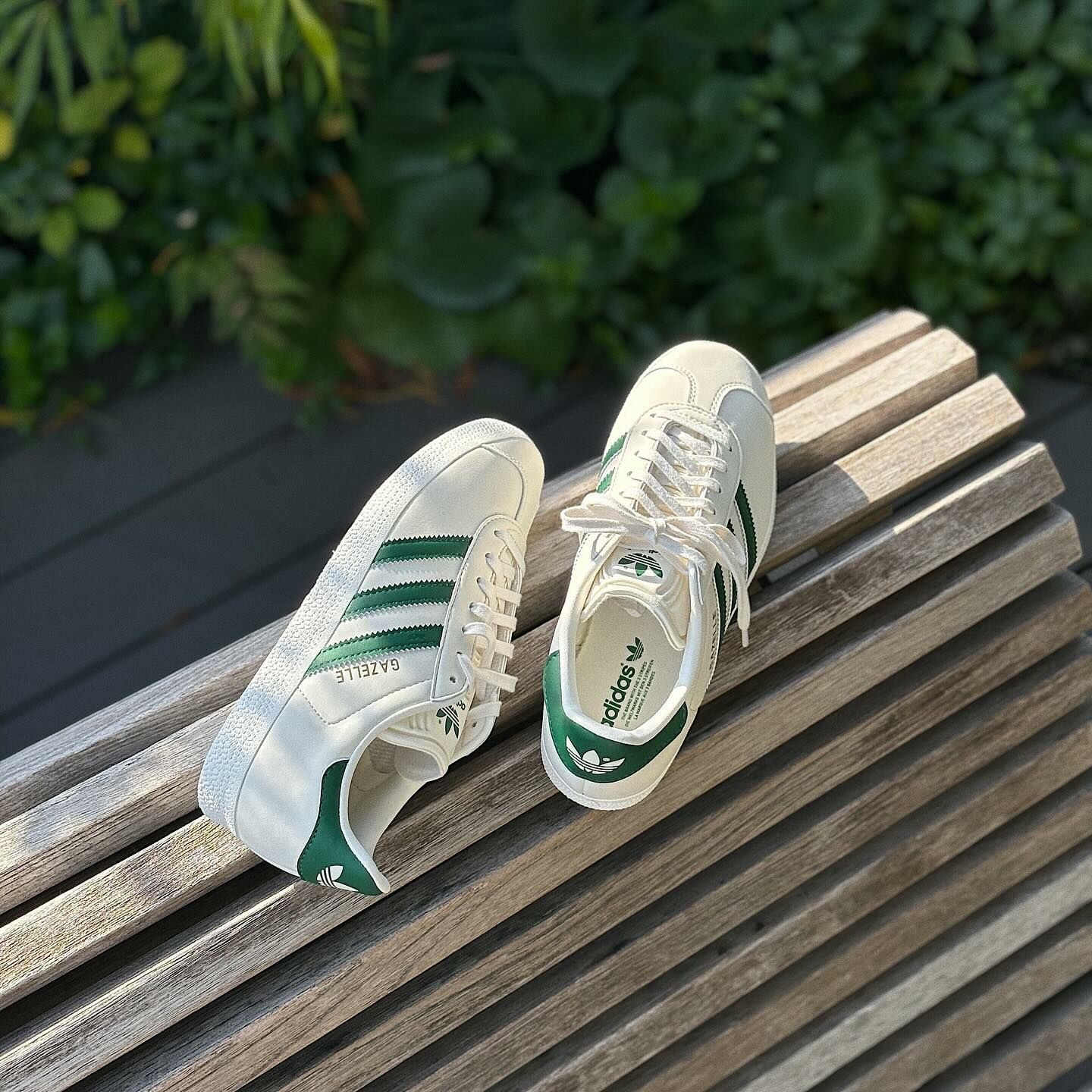 Adidas Originals Gazelle 日本限定 奶油白 綠色 基本款 復古鞋 ID6114
