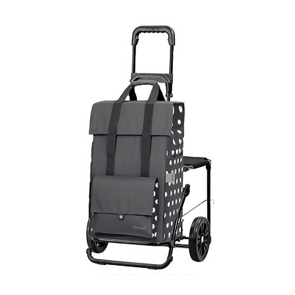 德國ANDERSEN購物車-蓋瑞GERRY