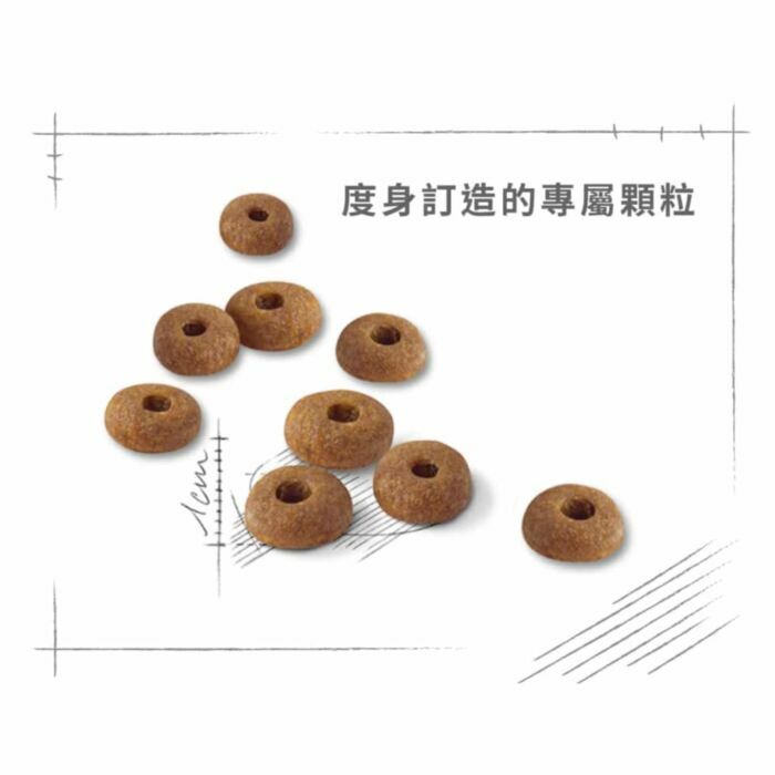 Royal Canin - 貓乾糧 - 成貓全效健康營養配方 (2KG-10KG)