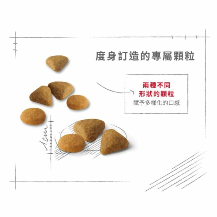 Royal Canin - 貓乾糧 - 挑嘴系列 - 成貓口感豐富挑嘴配方 (2KG-4KG)
