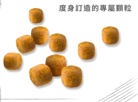 Royal Canin - 貓乾糧 - 緬因成貓專屬配方(10KG)