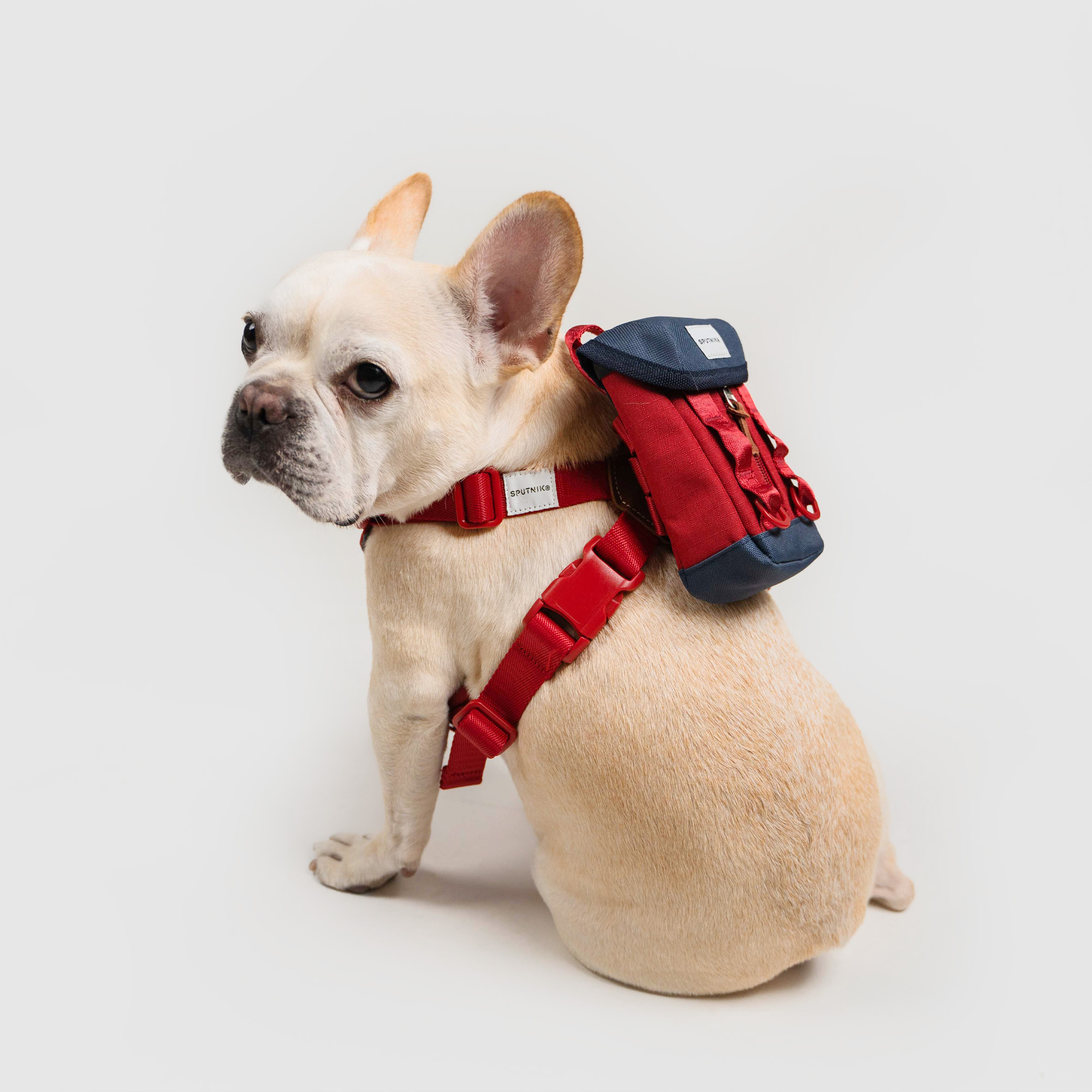 Explore︱ 拾便包