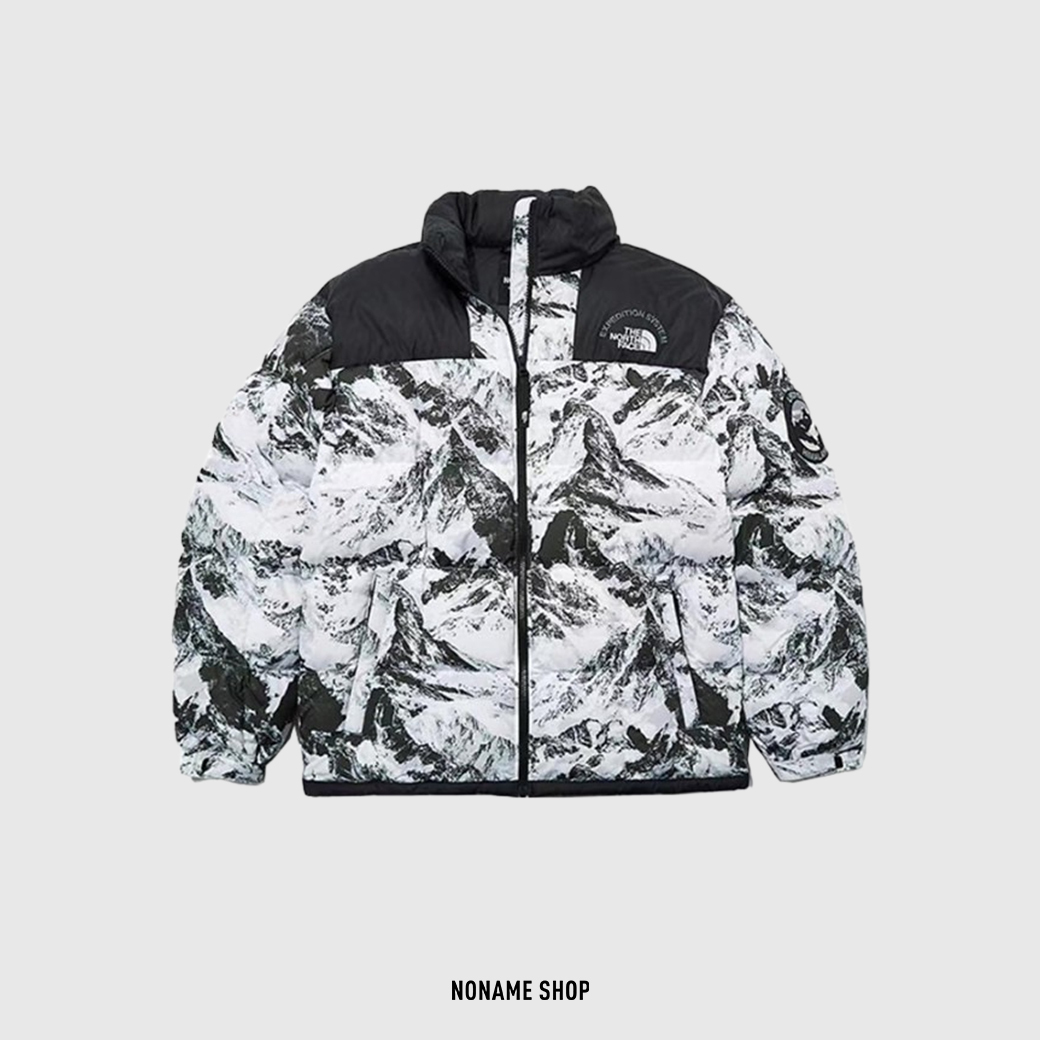 THE NORTH FACE TNF FW22 Expedition System 拼接 雪山 鵝羽絨 外套 黑白 (男/女款)