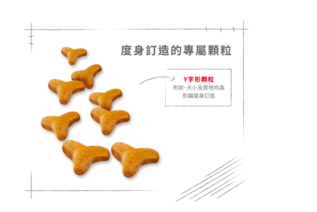 Royal Canin - 貓乾糧 - 豹貓成貓專屬配方(10 KG)