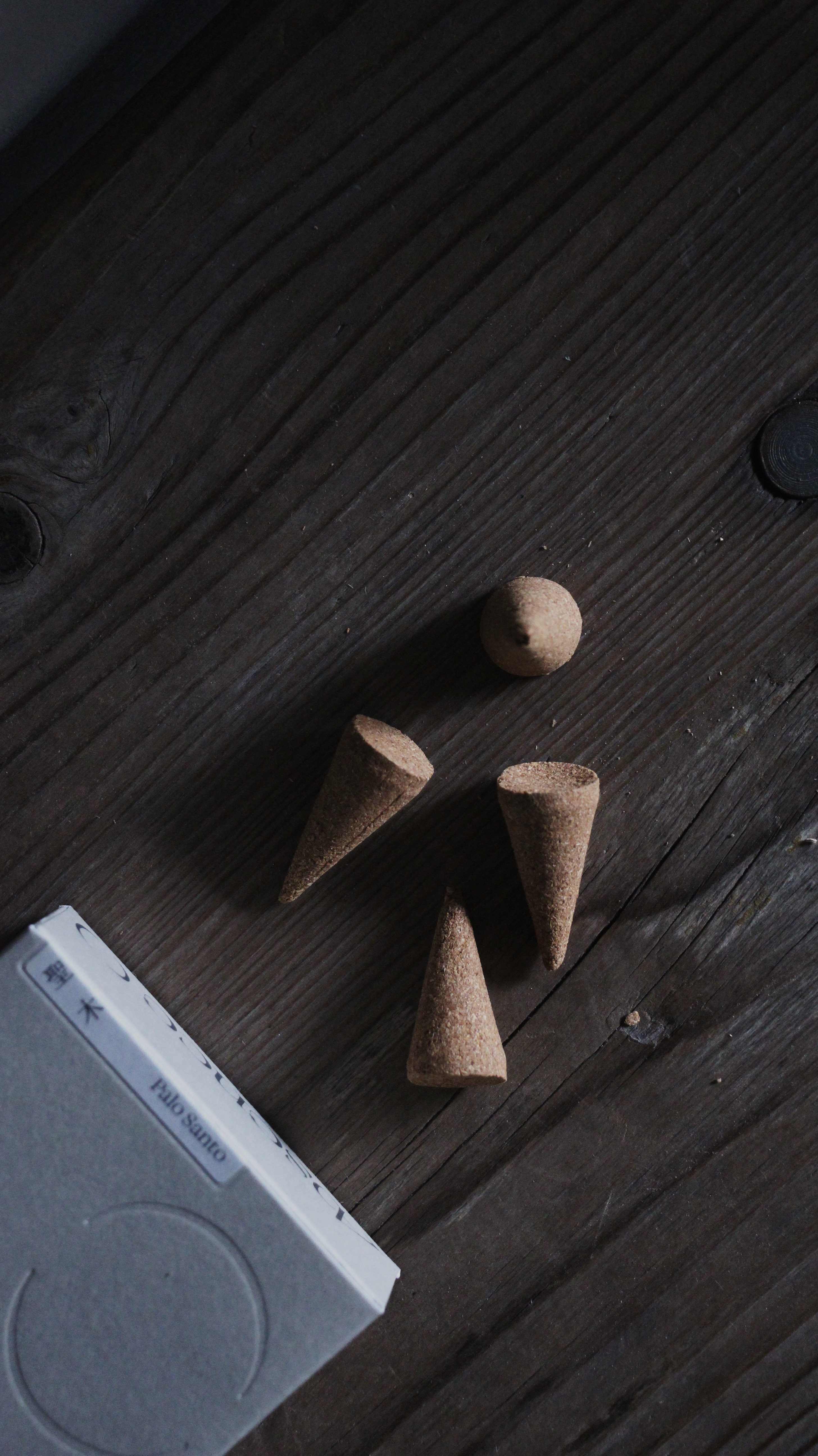 Absence O｜聖木香錐