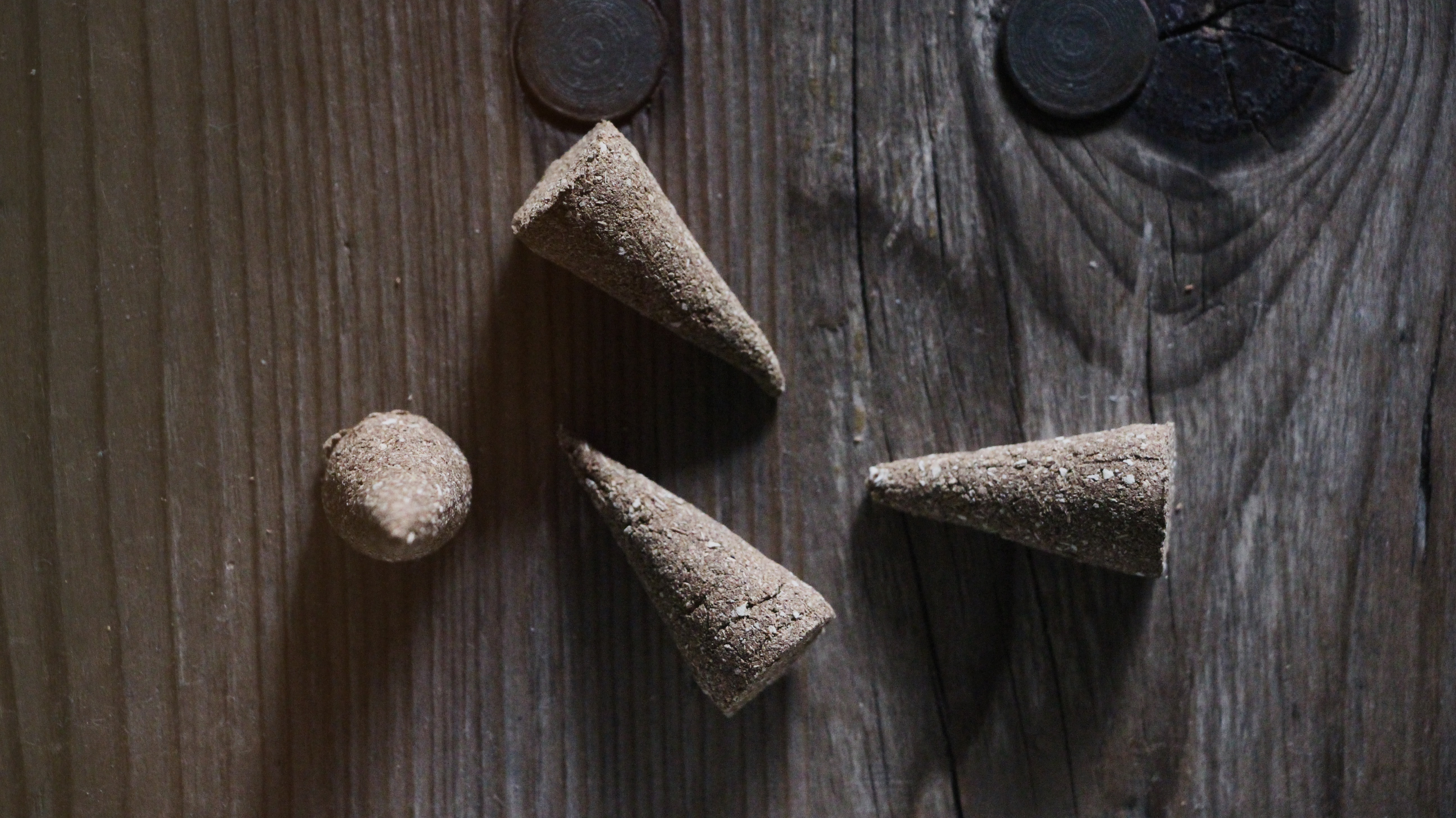 Absence O｜聖木香錐