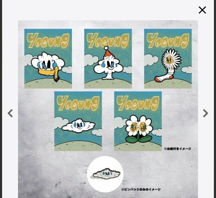 Yesung x Koichi random pin