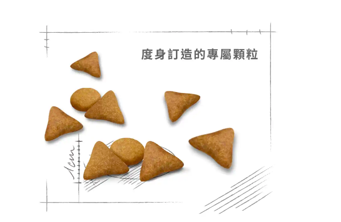Royal Canin - 貓乾糧 - 室內成貓食量控制營養配方 (2KG/4KG)