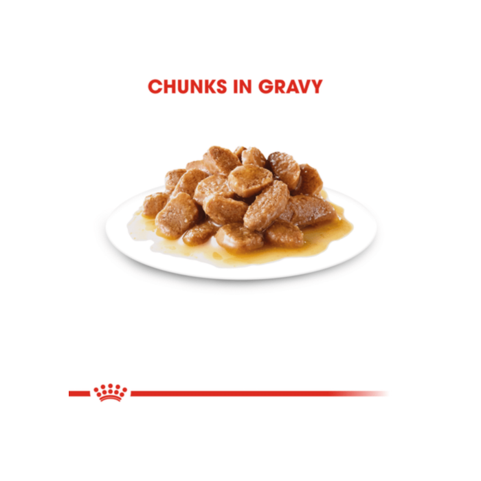 Royal Canin - 狗濕糧 - 小型成犬營養主食濕糧 (肉汁) 85G (12包)