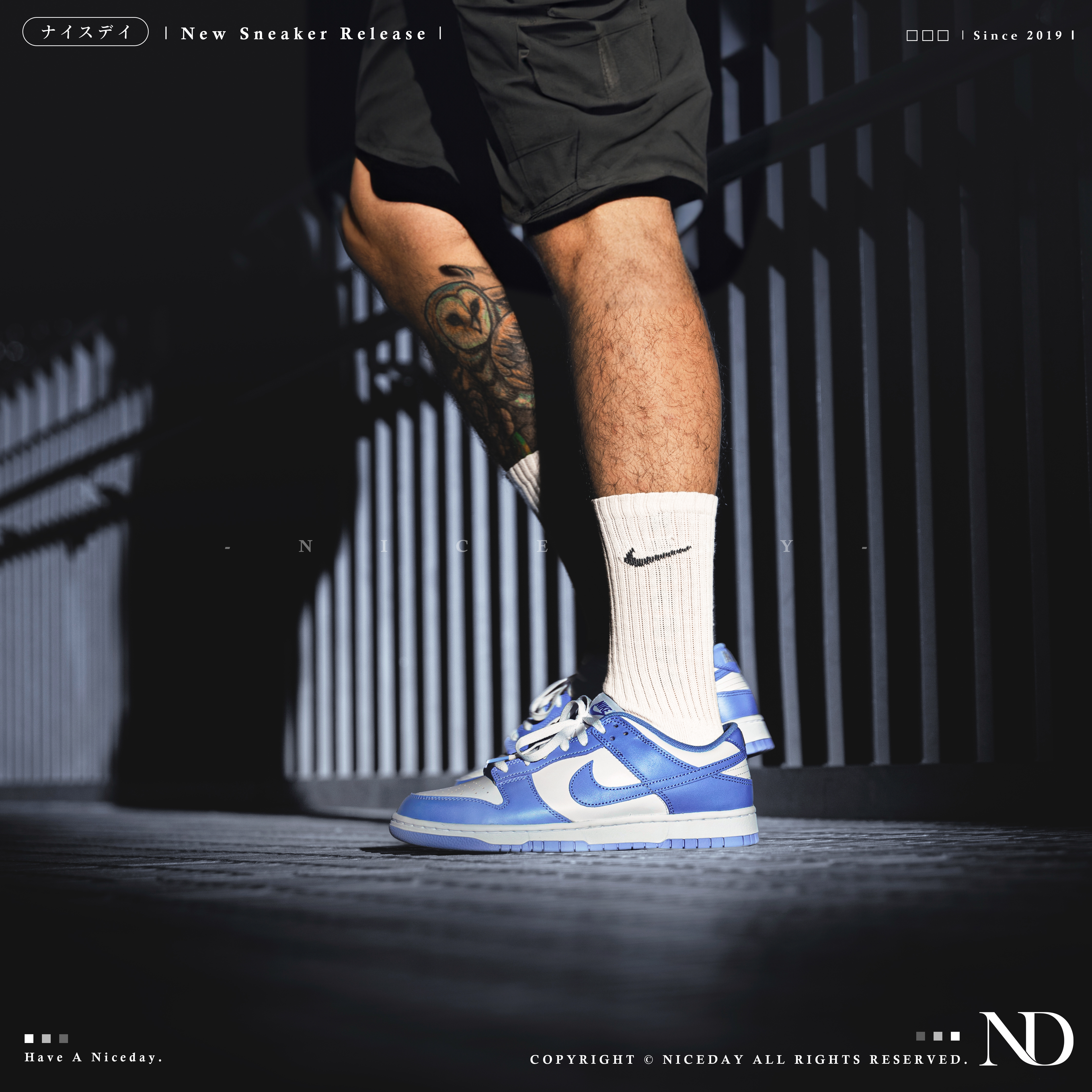 NICEDAY 現貨 Nike Dunk Low Polar Blue 北極藍 北卡藍 白 藍 男款 DV0833-400