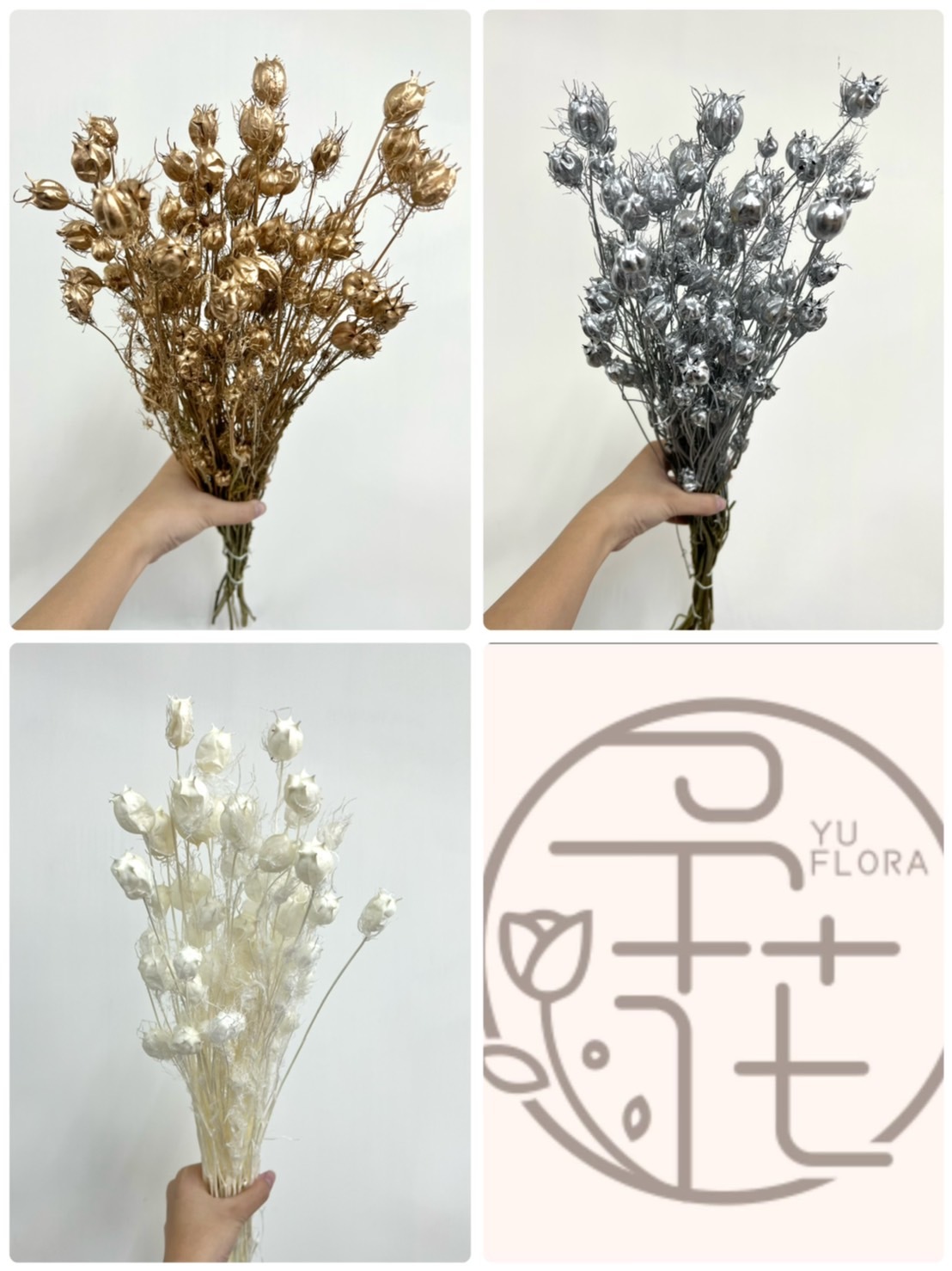 荷蘭乾燥黑種果