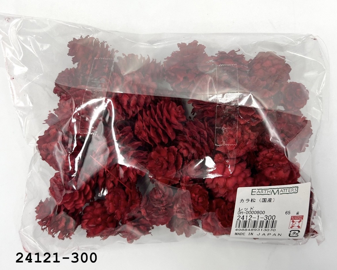 日本乾燥落羽松松果 24121-300