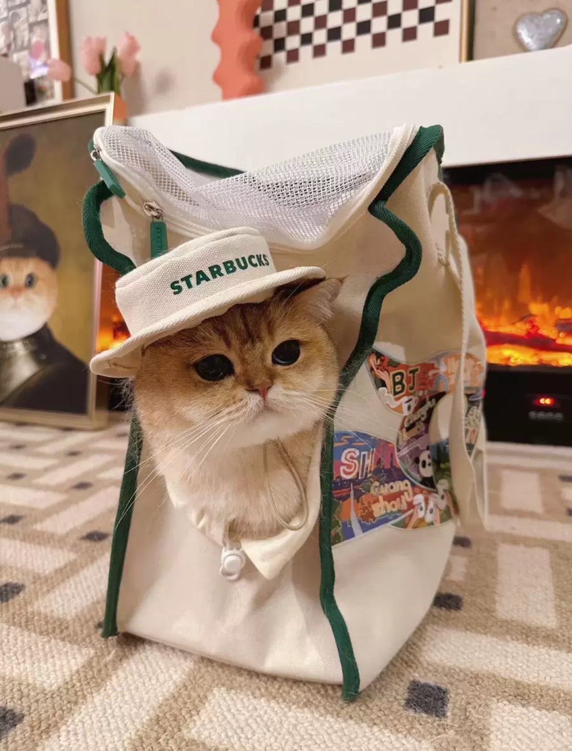 <快速出貨> 星巴克Starbucks  寵物外出包 兩款