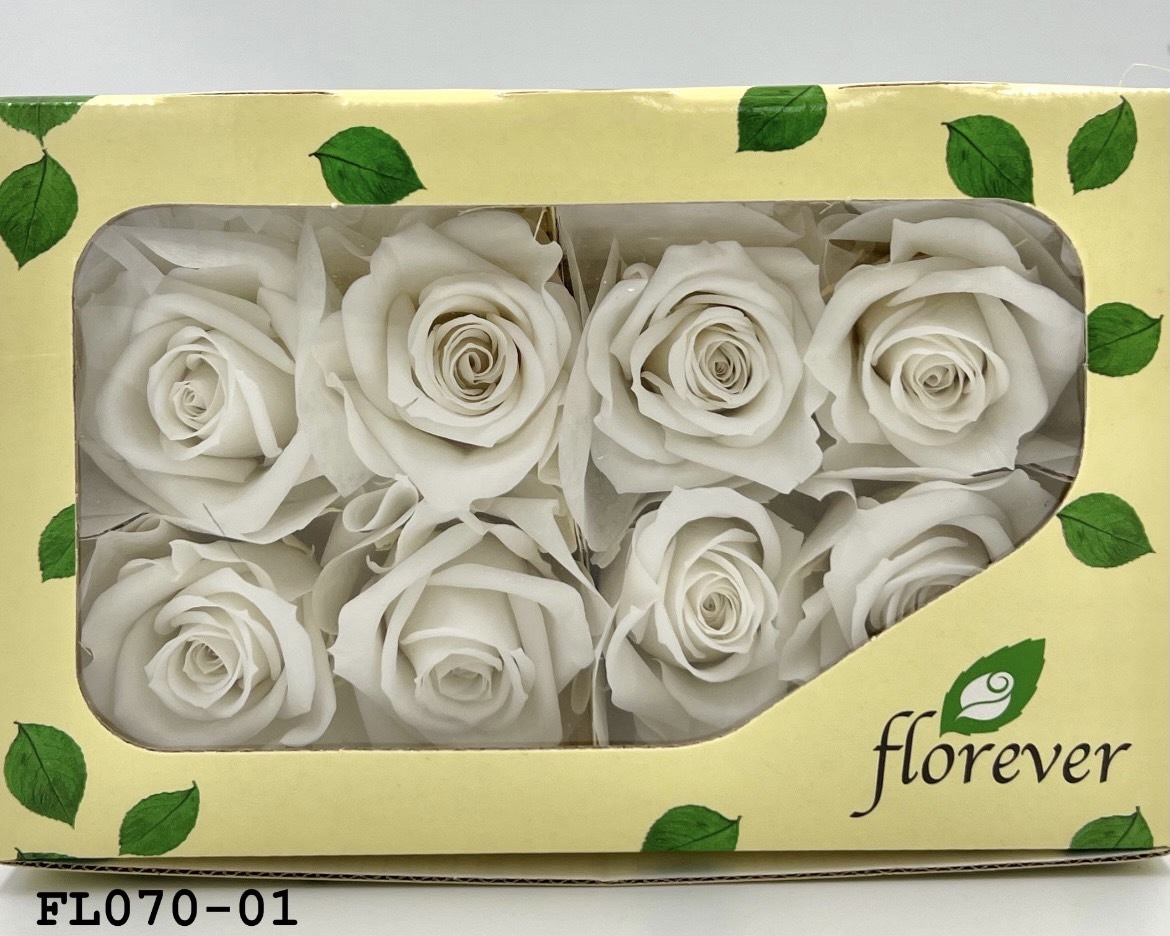 日本不凋中輪玫瑰(8朵) FL070-01