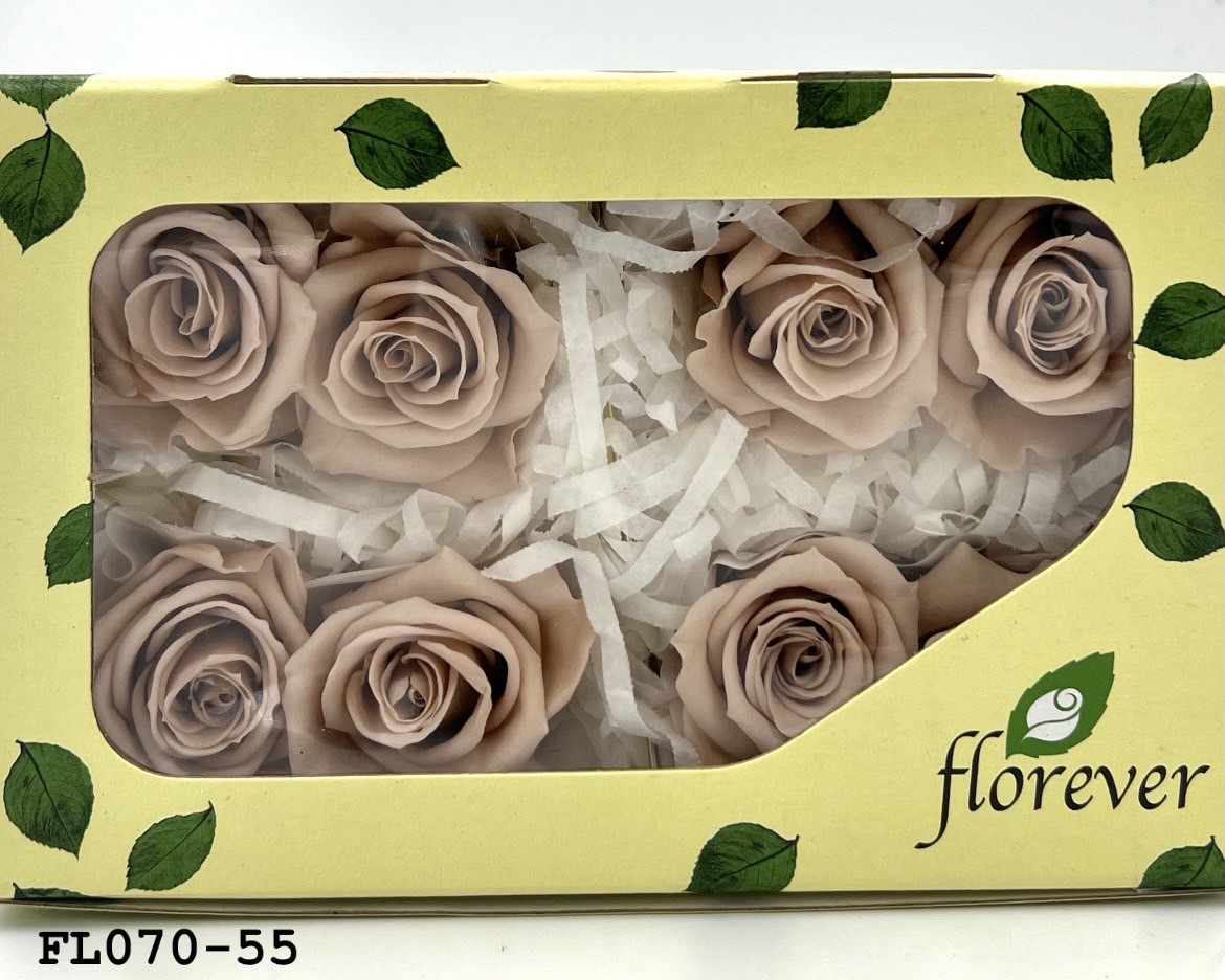 日本不凋中輪玫瑰(8朵) FL070-55