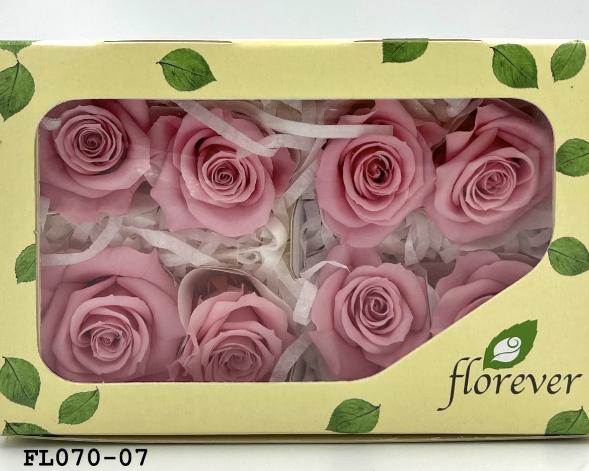 日本不凋中輪玫瑰(8朵) FL070-07