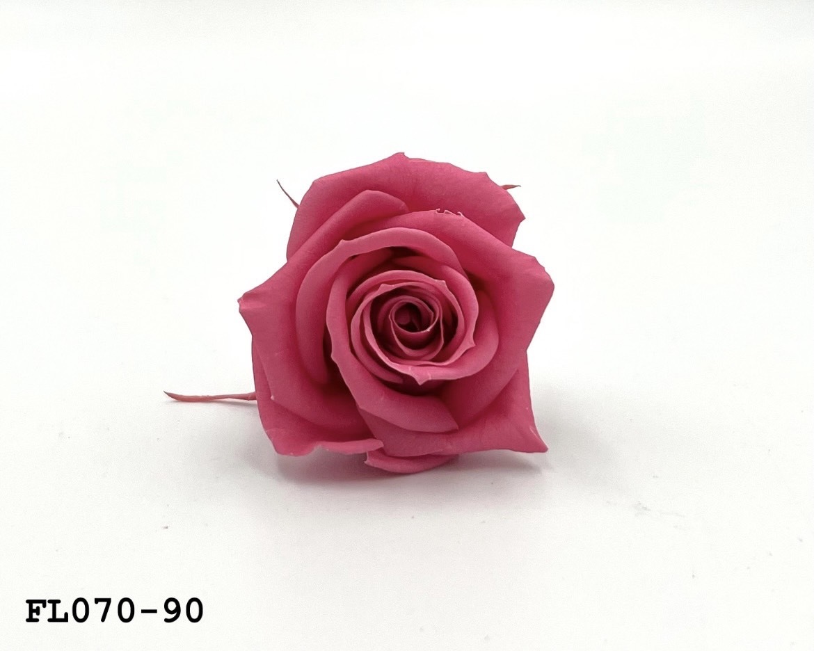 日本不凋中輪玫瑰(8朵) FL070-90