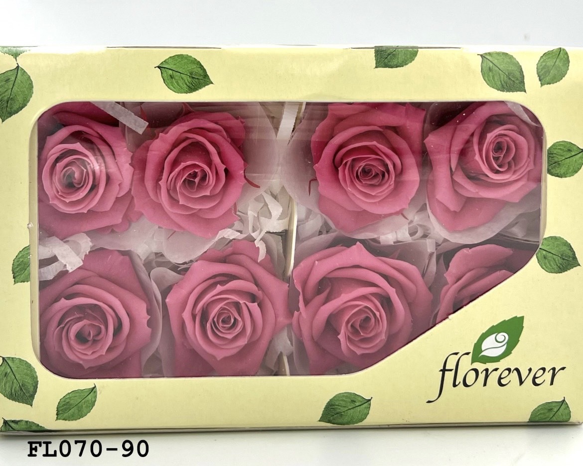 日本不凋中輪玫瑰(8朵) FL070-90