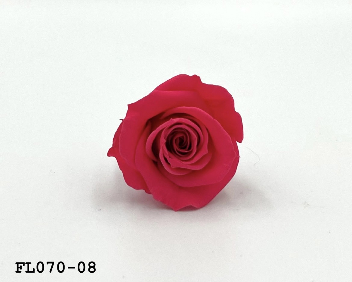日本不凋中輪玫瑰(8朵) FL070-08