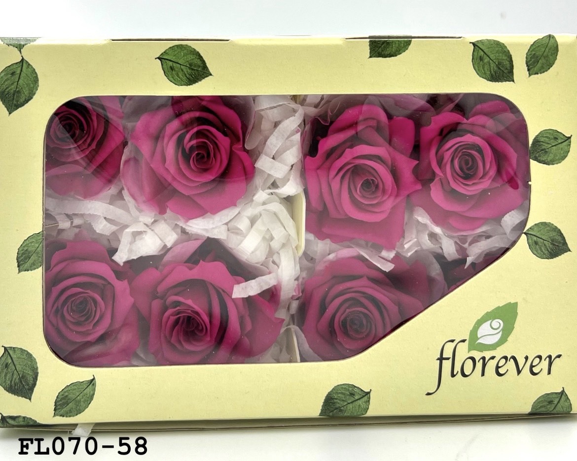 日本不凋中輪玫瑰(8朵) FL070-58