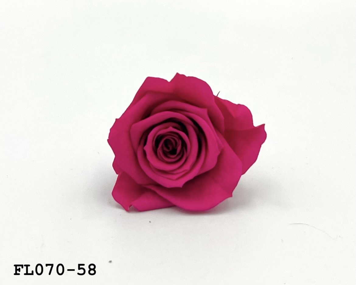 日本不凋中輪玫瑰(8朵) FL070-58