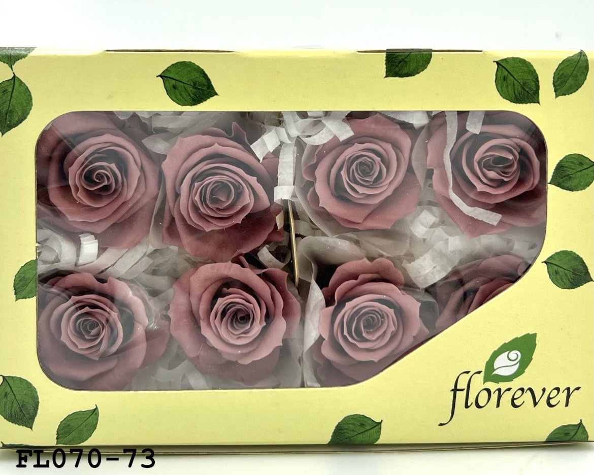 日本不凋中輪玫瑰(8朵) FL070-73