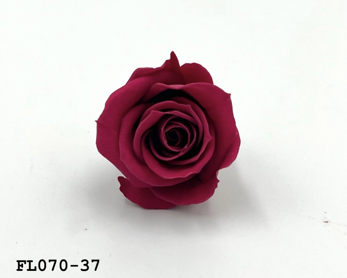 日本不凋中輪玫瑰(8朵) FL070-37