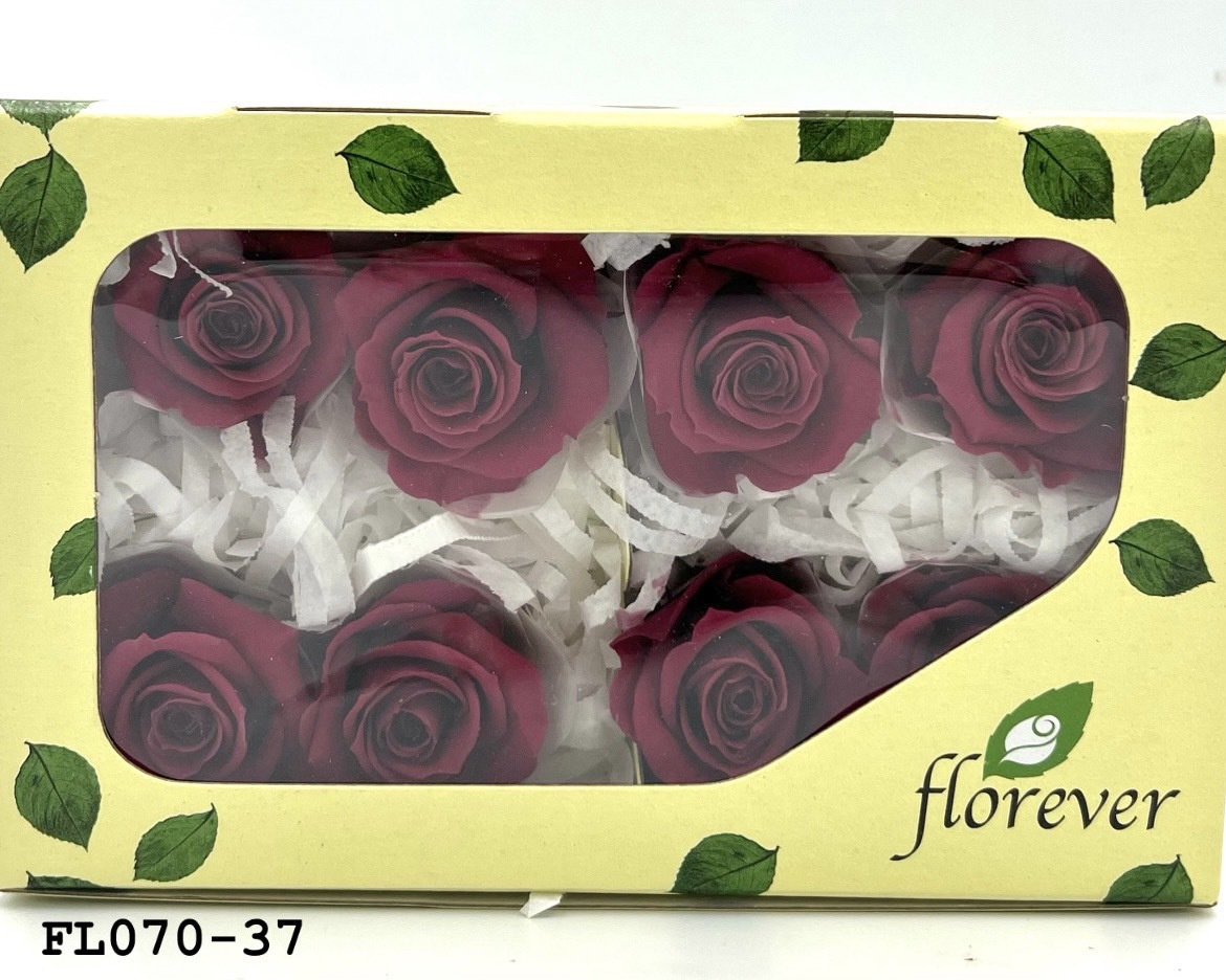 日本不凋中輪玫瑰(8朵) FL070-37