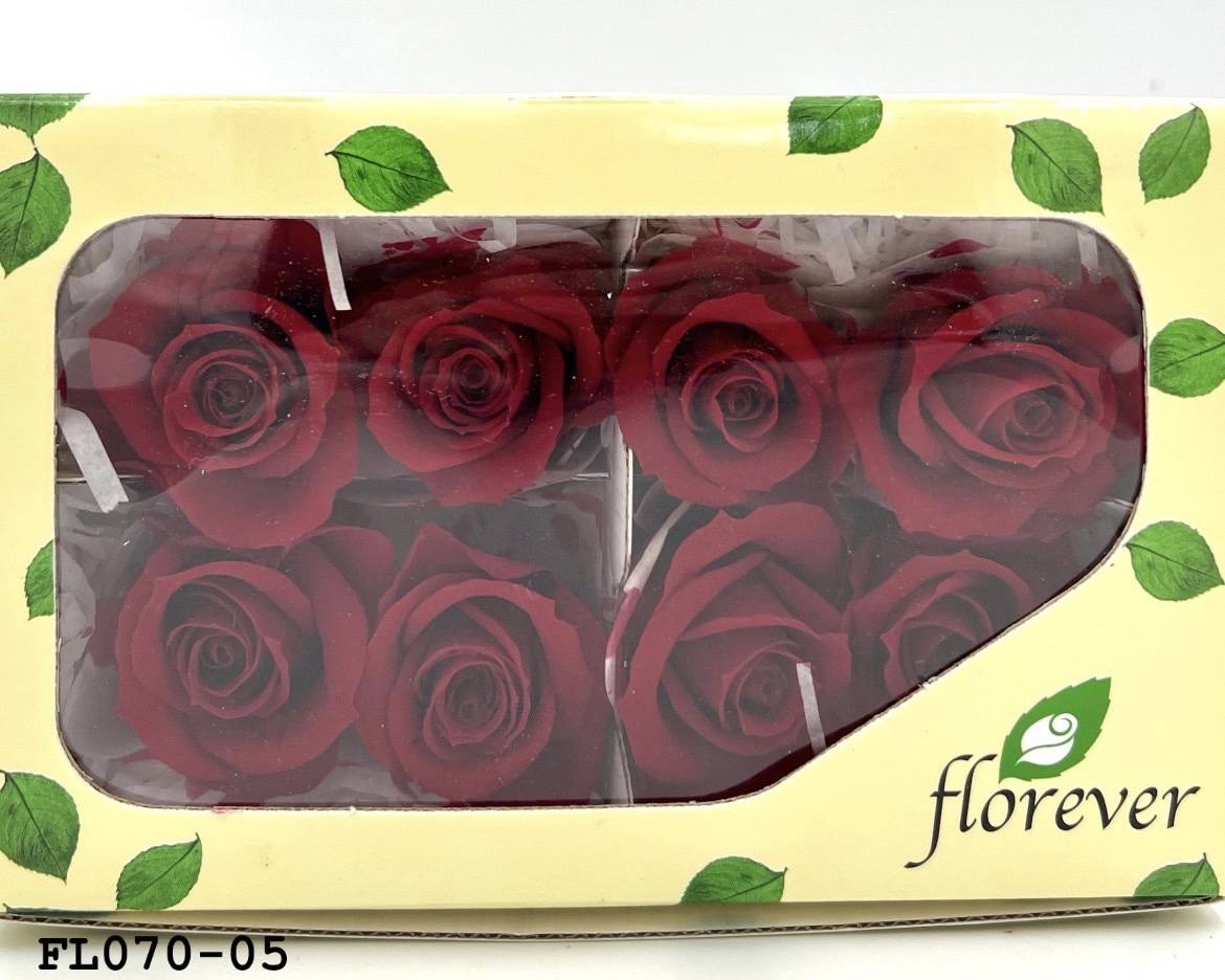 日本不凋中輪玫瑰(8朵) FL070-05