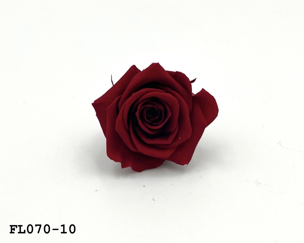 日本不凋中輪玫瑰(8朵) FL070-10