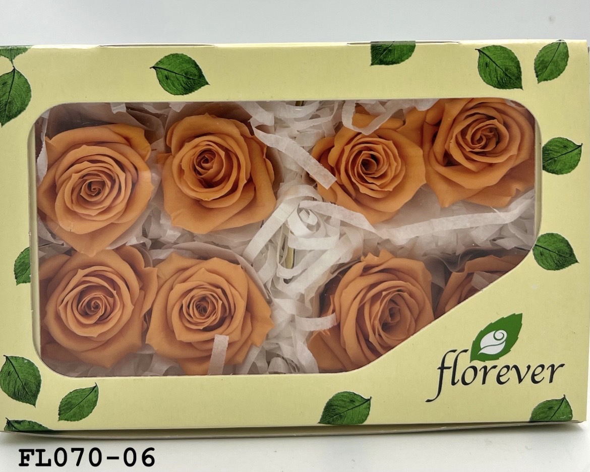 日本不凋中輪玫瑰(8朵) FL070-06