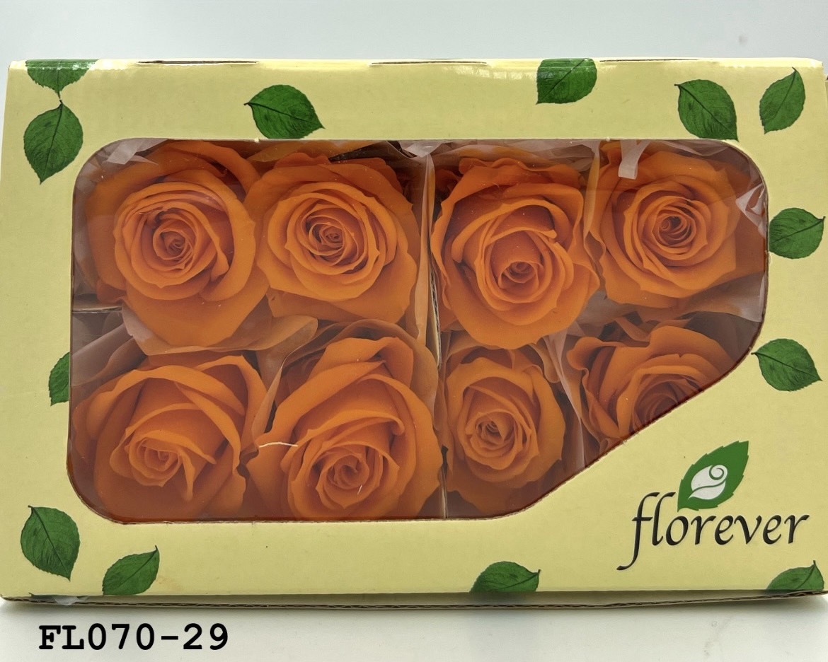 日本不凋中輪玫瑰(8朵) FL070-29