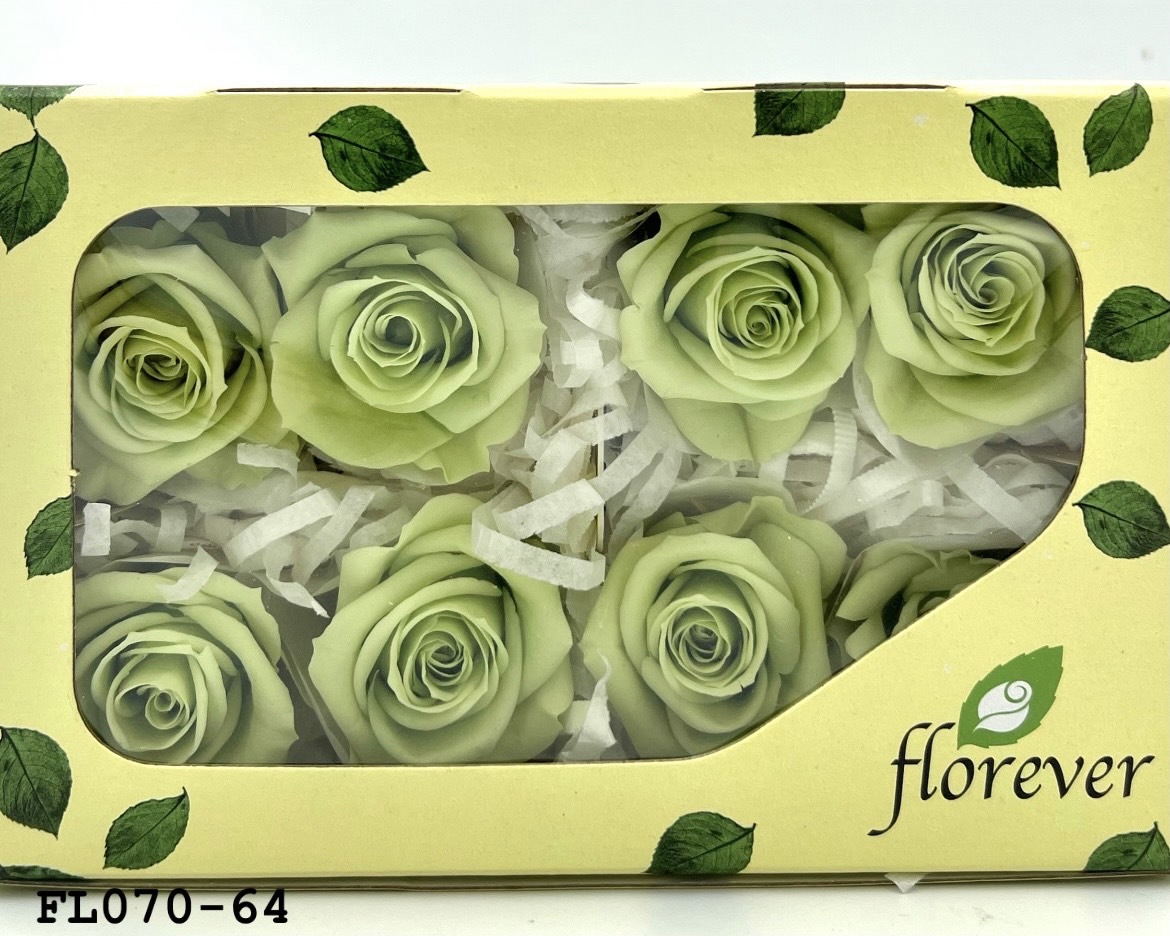 日本不凋中輪玫瑰(8朵) FL070-64