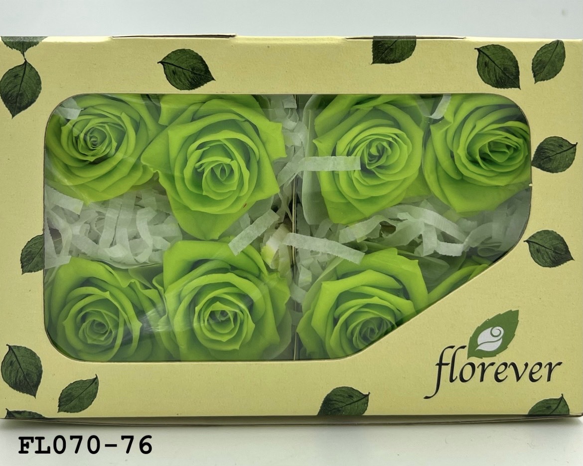 日本不凋中輪玫瑰(8朵) FL070-76