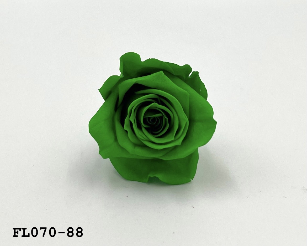 日本不凋中輪玫瑰(8朵) FL070-88