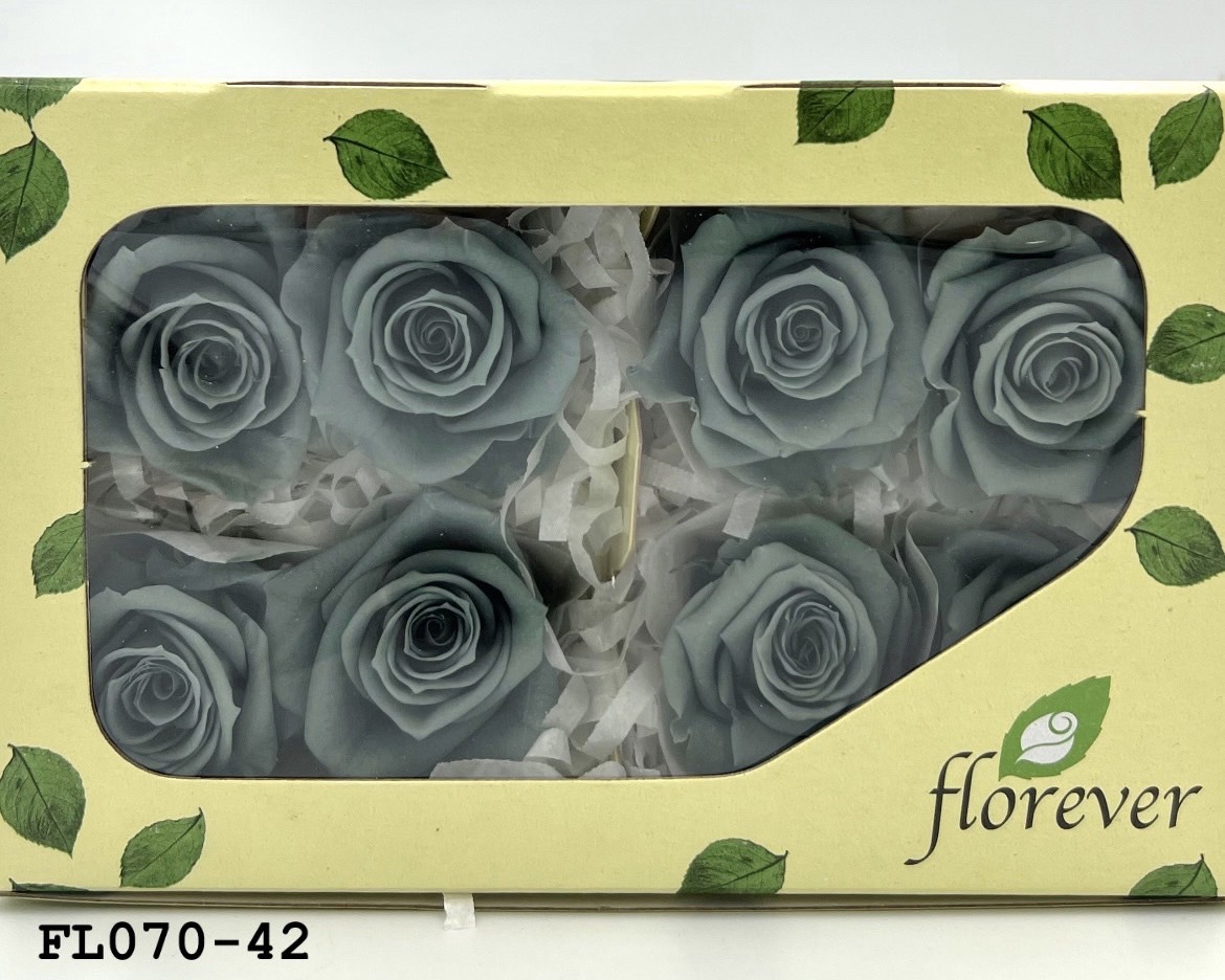 日本不凋中輪玫瑰(8朵) FL070-42