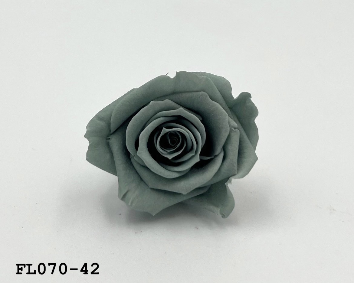 日本不凋中輪玫瑰(8朵) FL070-42