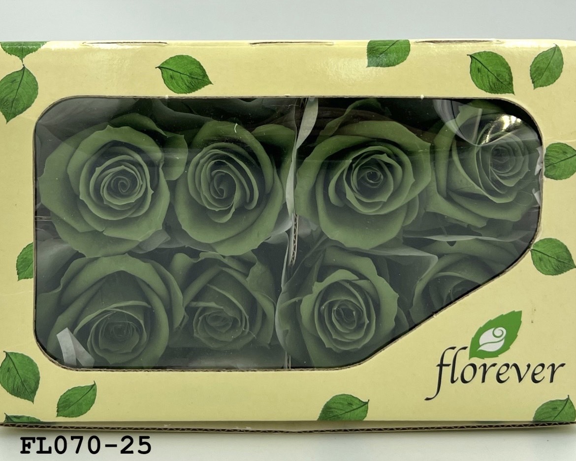 日本不凋中輪玫瑰(8朵) FL070-25