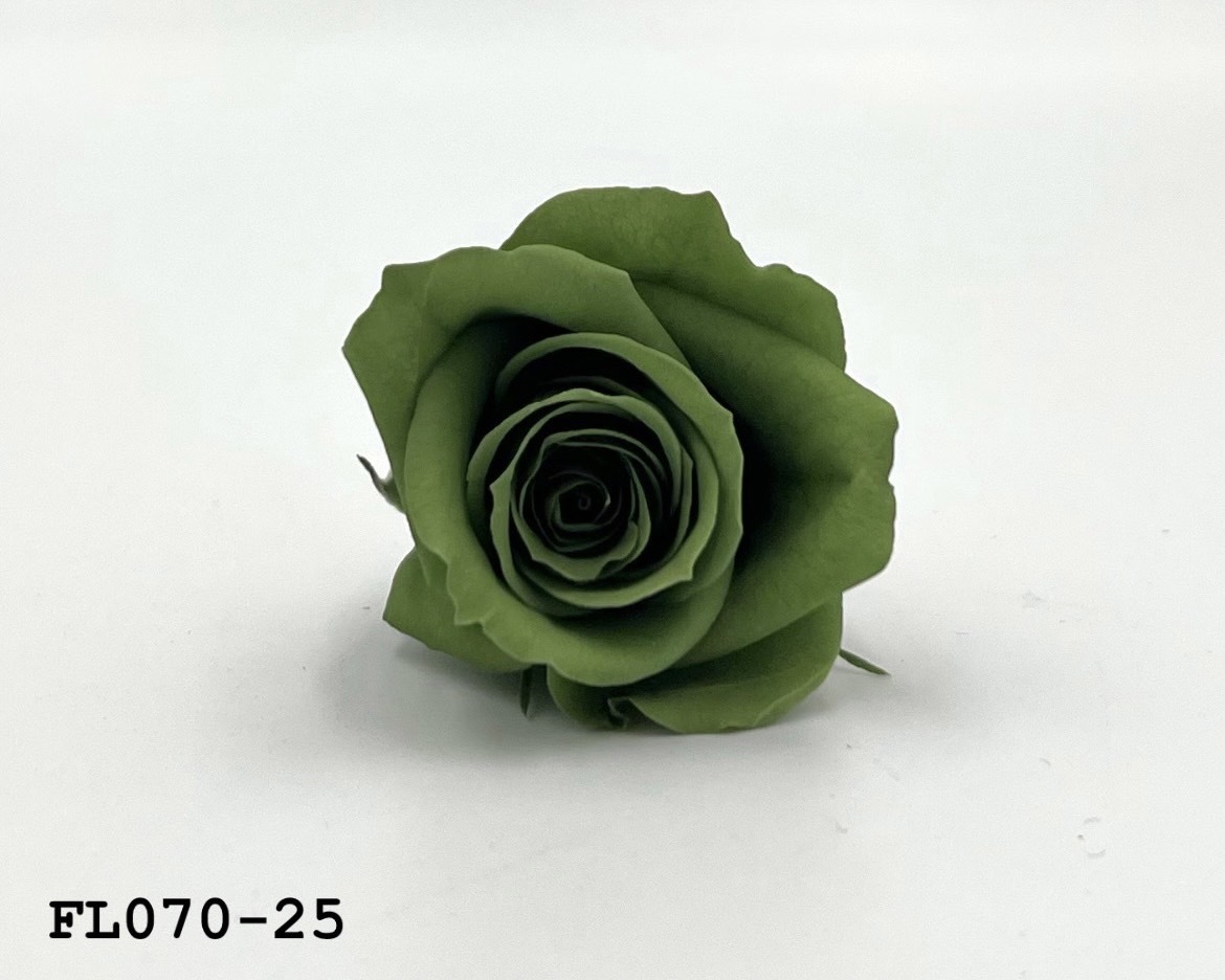 日本不凋中輪玫瑰(8朵) FL070-25