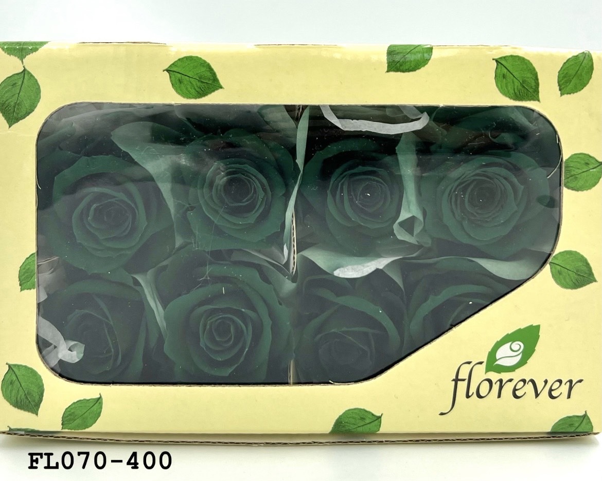 日本不凋中輪玫瑰(8朵) FL070-400