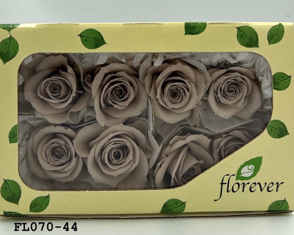 日本不凋中輪玫瑰(8朵) FL070-44