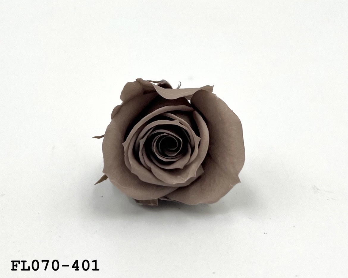 日本不凋中輪玫瑰(8朵) FL070-401