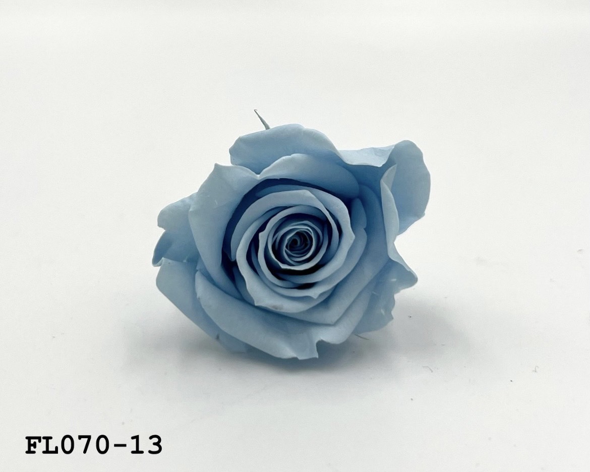 日本不凋中輪玫瑰(8朵) FL070-13