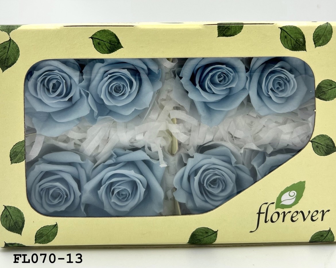 日本不凋中輪玫瑰(8朵) FL070-13